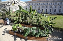 VBS_2446 - FloReal 2021 alla Palazzina di Caccia di Stupinigi